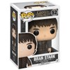 Funko Pop Game of Thrones: GOT - Bran Toy Figure