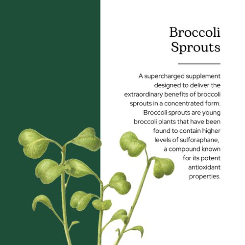 Eclectic Herb Broccoli Sprouts Powder 122 Grams