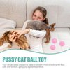 POPETPOP 10pcs Cat Toy Balls with Bell Plastic Lattice Jingle Balls Kitten Chase Pounce Rattle Toy for Pet Birthday Party Favor Supplies Blue Pink