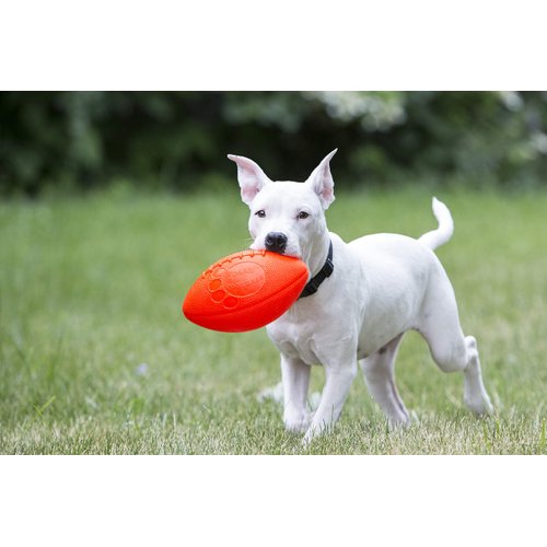 Jolly Pets Football Dog Toy, 8 Inches, Orange