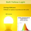 GREENIC 60 Watt Yellow Light Bulbs 2-Pack 120V E26 Base Led Bulb A19 800Lm 2200k Porch Light for Outdoor Indoor Bedroom Yard