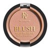 FV Long Lasting Powder Blush, Lightweight Smooth & Blendable Blush for Cheeks, High Buildable Color Blush Powder, Transfer-Resistant Shimmer Finish Cheek Makeup (Nude Shimmer, 0.17 OZ)