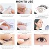 DUP False Eyelashes Lashever Volume Series, Japanese Natural Looking Fake Eyelashes A Day Long Lasting Wear, Reusable Strip, Comfortable Fit, 2 Pairs, Volume 303 Black