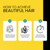 The Hair Diagram - Ashley Marie Protein Conditioner Treatment - Natural Strengthening Conditioner Enriched with Argan Oil & Hydrolyzed Wheat Protein - Color Safe - Paraben & Sulfate Free - 12oz