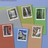 Waterfalls (2 Sheets of 12) Forever Postage Stamps US Postal First Class Nature Rock River Park Party Announcement Celebration Anniversary Wedding 2023 Scott #5800