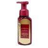 Bath & Body Works Luminous - Pack of Two - Foaming Hand Soap With Natural Oats Soap.
