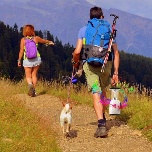 HOSHINE Solar Dynamo Multi-Functional 4-Way Powered Emergency Hand Crank FM Radio LED Camping Lantern Flashlight Phones Charger (White)