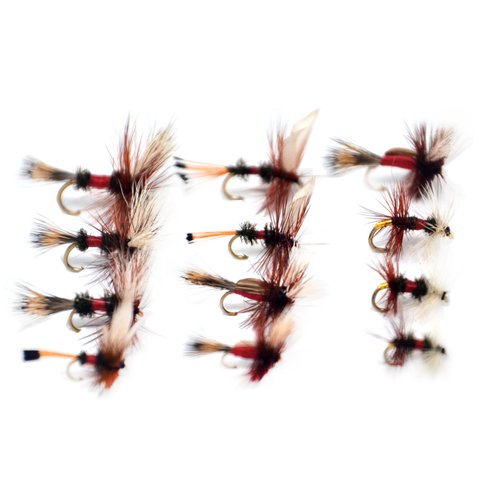 Outdoor Planet Dry Fly 12 Royal Coachman/Wulff/Humpy/Renegade Fly Lure Assotment for Trout Fly Fishing Flies