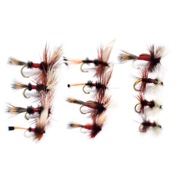 Outdoor Planet Dry Fly 12 Royal Coachman/Wulff/Humpy/Renegade Fly Lure Assotment for Trout Fly Fishing Flies
