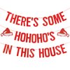 Red Glitter There's Some HoHoHos in This House Banner, Funny Christmas Banner Decorations, Christmas Party Banner for Xmas Holiday Party Home Office Fireplace Mantel Decorations