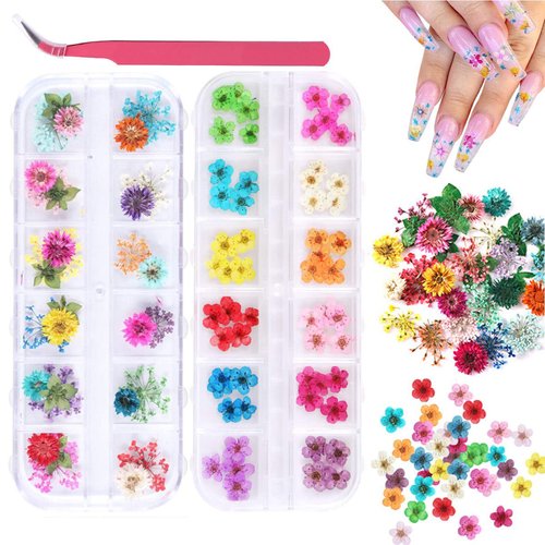 2 Boxes Dried Flowers for Nail Art, KISSBUTY 24 Colors Dry Flowers Mini Real Natural Flowers Nail Art Supplies 3D Applique Nail Decoration Sticker for Tips Manicure Decor (Gypsophila Flowers Daffodil)