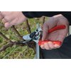 Felco Pruning Shears (F 7) - High Performance Swiss Made One-Hand Garden Pruners
