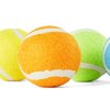 Leaps & Bounds Tennis Balls in Bucket Dog Toy, Medium, Pack of 10
