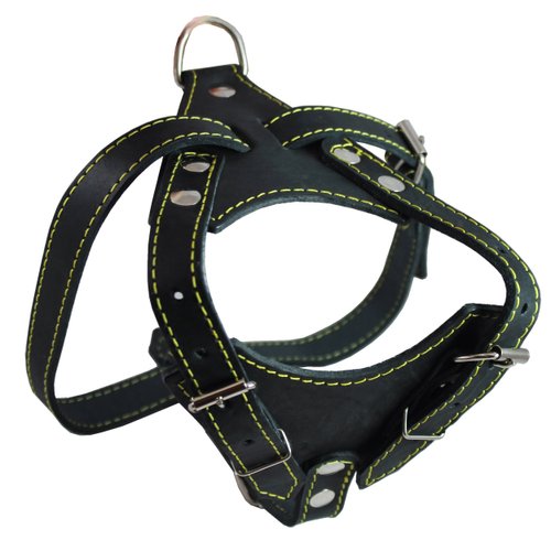 Real Leather Dog Harness, 24.5"-28" Chest size, 3/4" Wide, Dalmatian,