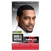 permanent men's hair color jet black