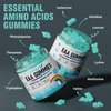 VIFSSG EAA Gummies 120 Gummies (Blue Raspberry), 8000 mg Essential Amino Acids - All 9 Essential Aminos (EAA) and All Branched-Chain Aminos (BCAAs), Non-GMO, Gluten Free, Vegetarian Friendly