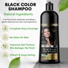 Solutrel Black Hair Dye Shampoo, Complete Gray Coverage, 10-in-1 Unisex Hair Color Shampoo With Natural Ingredients, No Skin Stain - Ammonia Free.