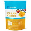 Equip Foods Clean Carbs | 15+ Fruits and Honey Superfood Powder | Post Workout Recovery Powder | Antioxidants Supplement, Carbohydrate Powder | Immune Support Carb Cleaner | 20 Servings, Unflavored