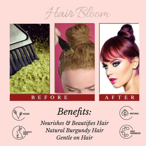 Hair Bloom Natural Burgundy Hair Color- Herbal Henna Burgundy Hair Color Powder- 12 individual sachets (10 gm each)- Reusable Brush & Tray Included- Shiny & Smooth by Pride of India