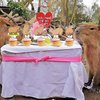 Capybara Cupcake Toppers Capybara Birthday Party Decorations 48Pcs Capybara Theme Cake Decorations Capybara Animals Cake Toppers for Capybara Lovers Baby Shower Supplies
