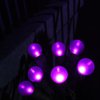 GlowVibe Purple Halloween String Lights 50 LEDs Frosted G15 Christmas Lights for Indoor Outdoor Halloween Decor Thanksgiving Yard Xmas Tree