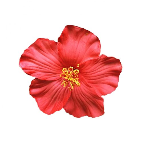 Red Hawaiian Flower Hair Clip for Women Girls Fashion Bohemian Flowers Hair Accessory for Dancer ...