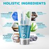 Nano hydroxyapatite Toothpaste Fluoride-Free, Pro Mineralizer Toothpaste: Dentist Formulated Remineralizing Anti Cavity Xylitol Toothpaste, Enamel Support Sensitive Teeth Toothpaste – Wintermint