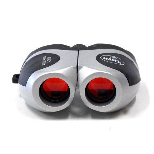 ToolUSA 8X Mini Compact Binoculars | 21mm Ruby Lenses | Stylish Metallic Gray & Black | Ideal for Sports & Nature Viewing