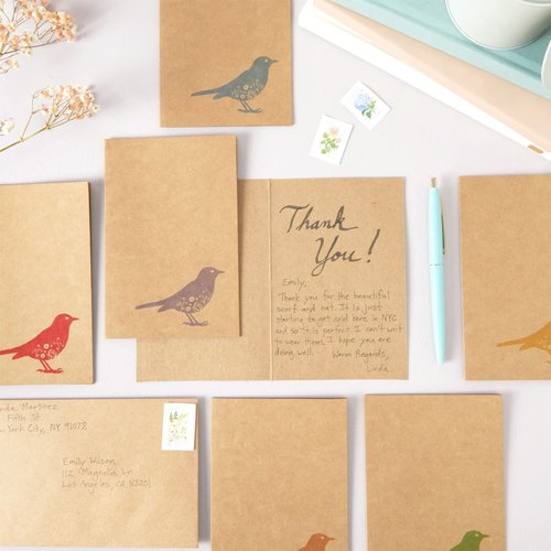 36 Pack Bird Design Blank Cards and Envelopes 4x6 for All Occasions, Birthday, Thank You, Kraft Paper Notecards