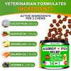 Dog Allergy Relief Chews - Dog Itch Relief - Omega 3 Fish Oil + Probiotics - Itchy Skin Relief - Seasonal Allergies - Anti Itch Support & Hot Spots - Immune Supplement for Dogs