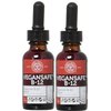 Global Healing Vitamin B12 5000 mcg, Organic Sublingual Liquid Drops | 3-in-1 Methylcobalamin, Adenosylcobalamin, Hydroxo Blend, 1 Fl Oz (2-Pack)