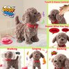 Walking Barking Dog Toy Singing Puppy Set, Repeat What You Say Teddy with Control Leash Electronic Dog, Touch or Voice Control Realistic Robot Musical Dancing Animated Plush Pet for Toddler