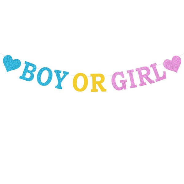 Pre-Strung Boy or Girl Banner - NO DIY - Baby Shower Decorations - Glitter Gender Reveal Party Banner in Script - Gender Neutral Party Decorations & Decor. Did we mention no DIY?
