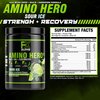 FXSUPPS Amino Hero Sour Ice Flavor (25 Servings) | Post-Workout Recovery Drink for Men and Women | Energy Powder Mix with BCAA, EAA, and Electrolytes | Promotes Endurance and Healthy Muscles - 1 Pack