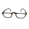 Hand Painted Reader Reading Glasses + Free Micro Fiber Pouch $5.00 Spring Hinge R77 (+125, Black)