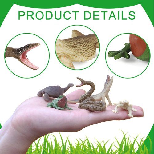EOIVSH 12PCS Realistic Reptile Animal Figurine Set,Cold Blooded Amphibians Wild Animal Figures Toy with Lizard Komodo Dragon Snake Alligator for Kids and Toddlers 3+