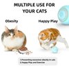 Interactive Cat Toy Ball，USB Rechargeable Automatic Cat Toy，Cat Balls Automatic Moving Rolling Cat Toys for Indoor Cat Kitten，Smart Ball Cat Toy Gift for Your Kitty (Blue)