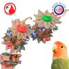 Bonka Bird Toys 2863 Pack Two Small Party Box - Parrot Beak-Engaging Toy, 2"x1.75", for Small/Medium Birds