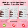 Ninetynine Dreams 5 Pairs Manhua Manga Style False Eyelashes 3D Lightweight Natural Comfortable Clear Band Daily Anime Manga Eyelashes Fluffy Soft Eyelashes Packs