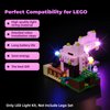 LED Lighting Kit for Lego The Cherry Blossom Garden, Creative Light for Lego 21260 Model Kit (Lights Only, No Lego Models)