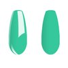 Vishine Gelpolish Lacquer Shiny Color Soak Off UV LED Gel Nail Polish Professional Manicure SpringGree(1555)