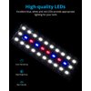 NICREW Clip on Aquarium Light, Fish Tank Light with White, Blue and Red LEDs, Planted Aquarium Light for Nano Tank, 2 Lighting Modes