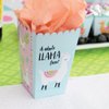 Whole Llama Fun - Llama Fiesta Baby Shower or Birthday Party Favor Popcorn Treat Boxes - Set of 12