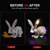 DALDED LED Lighting Kit for Lego Creator 3 in 1 White Rabbit, LED Light Compatible with Lego 31133 Building Block Models (Not Include Lego Set)