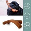 Nodo Argentinean Prime Rib Flavor Bone Dog Chew Toy - Long Lasting Puppy Teething Chew - Thermoplastic Rubber - Suitable for Small Breeds - Perfect for Indoor and Outdoor Use
