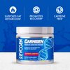 Evogen Carnigen - Premium Carnitine Powder | Supports Fat Metabolism & Promotes Recovery | Stimulant-Free L Carnitine Supplement Matrix with Acetyl L-Carnitine | Raspberry Lemonade | 50 Servings