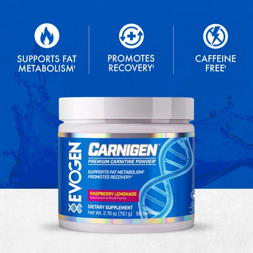 Evogen Carnigen - Premium Carnitine Powder | Supports Fat Metabolism & Promotes Recovery | Stimulant-Free L Carnitine Supplement Matrix with Acetyl L-Carnitine | Raspberry Lemonade | 50 Servings
