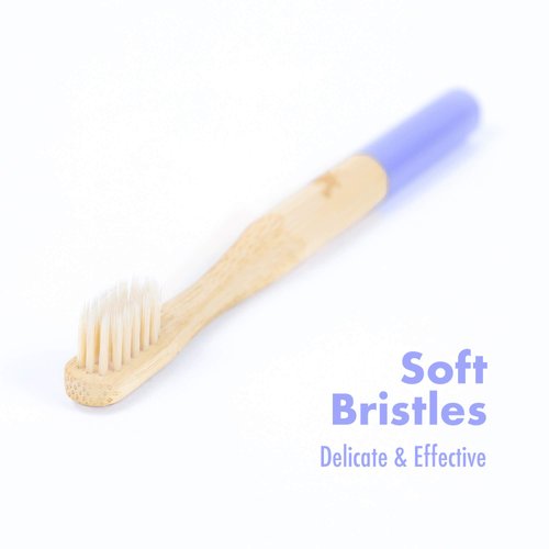 Native Birds Kids Bamboo Toothbrush with Soft Bristles, Set of 4 Eco Friendly Toothbrushes, BPA Free, Designed in Ukraine