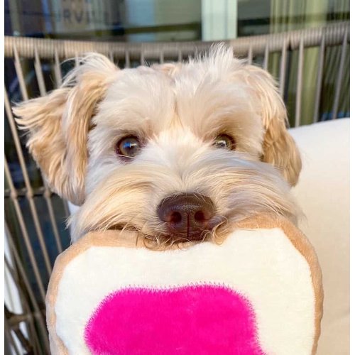 TONBO Snack Time Combo - Crinkle Plush Cute Dog Toys, Peanut Butter, Jelly Toast, Milk (Snack Time Combo)