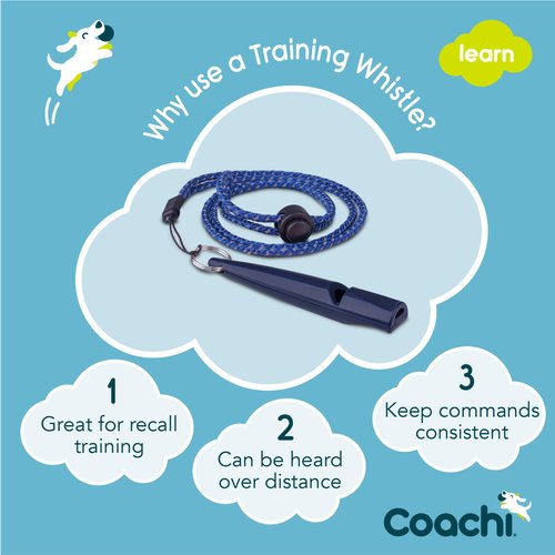 Coachi Training Whistle, Ideal for Obedience and Recall Training, Strong Clear Sound, Lightweight and Compact, Adjustable Reflective Lanyard, Suitable for Puppy & Dog Training